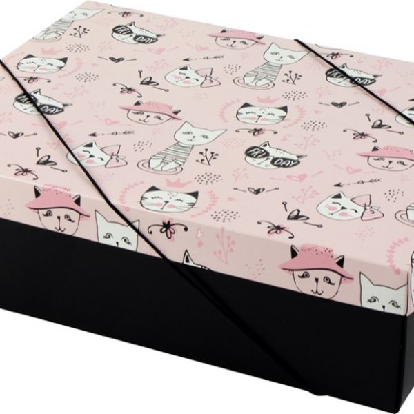 Caixa Tampa e Fundo – Gatinhas Miau