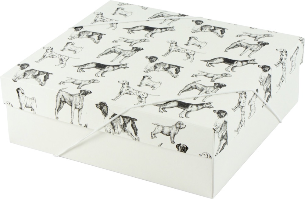 Caixa – M – The Dogs