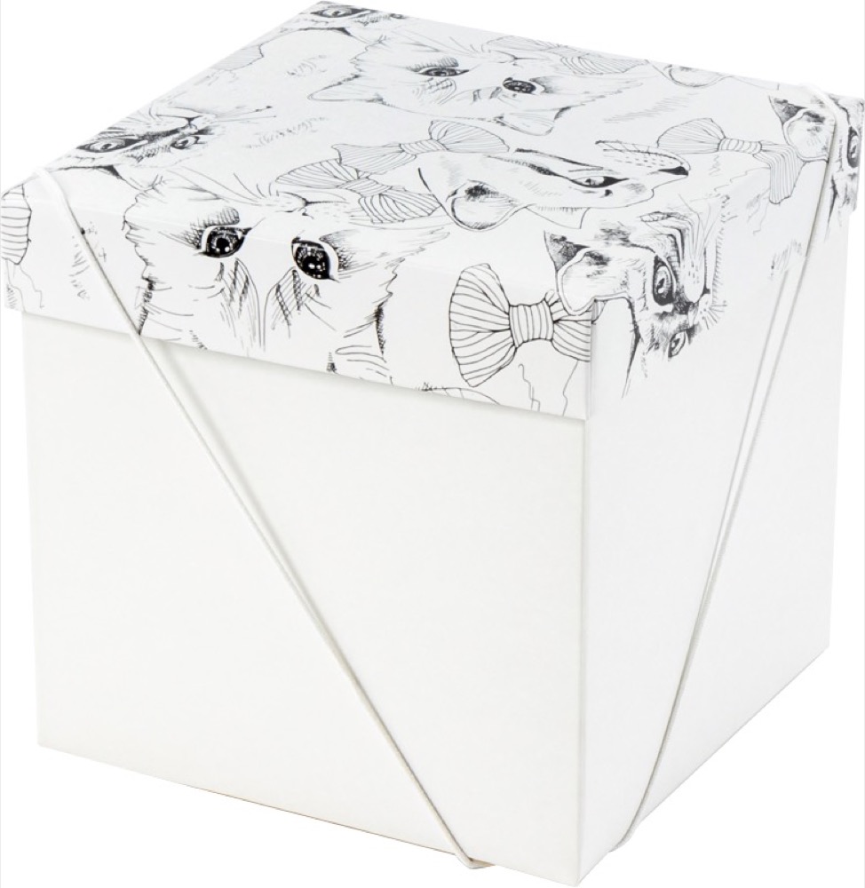 Caixa – Cubo – The Cats