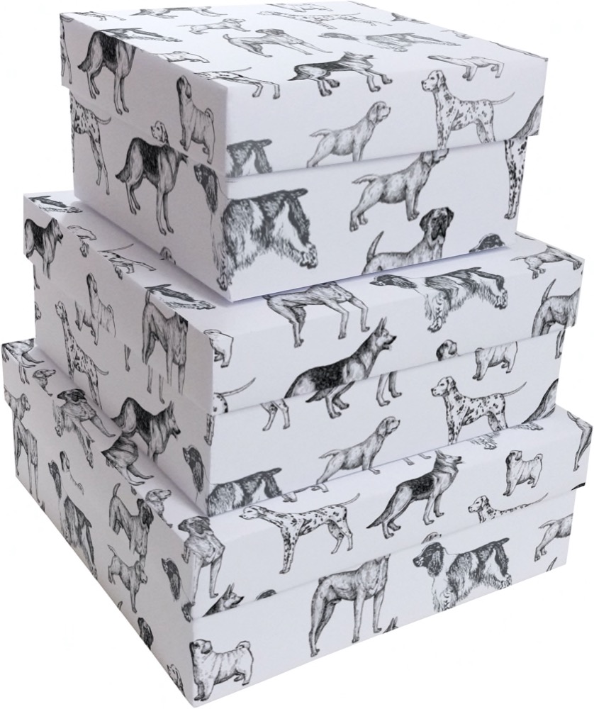 Kit Caixas Rígidas – Quadrado – The Dogs