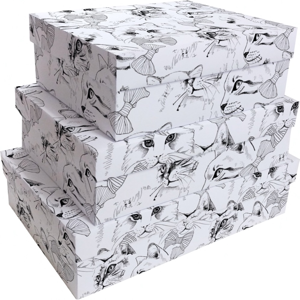 Kit Caixas Rígidas – Retangular – The Cats