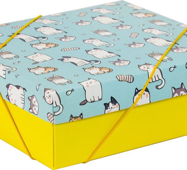 Caixa Tampa e Fundo – Gatinhos