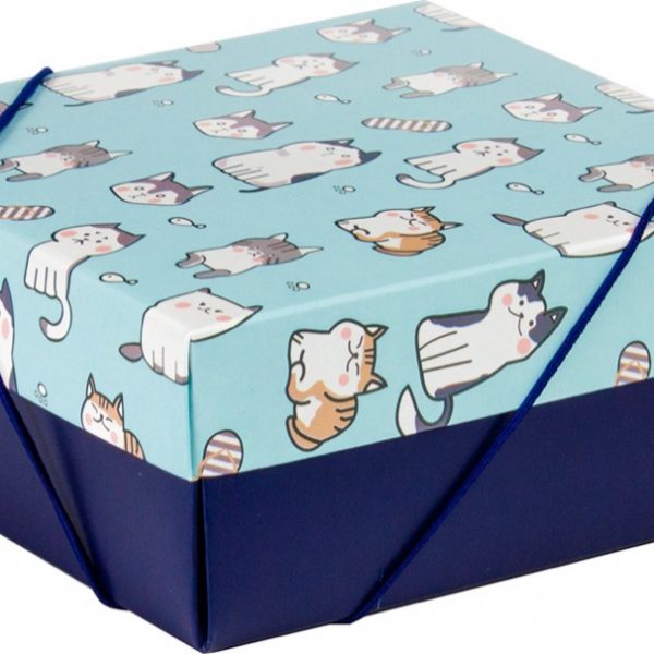 Caixa Tampa e Fundo  – Gatinhos