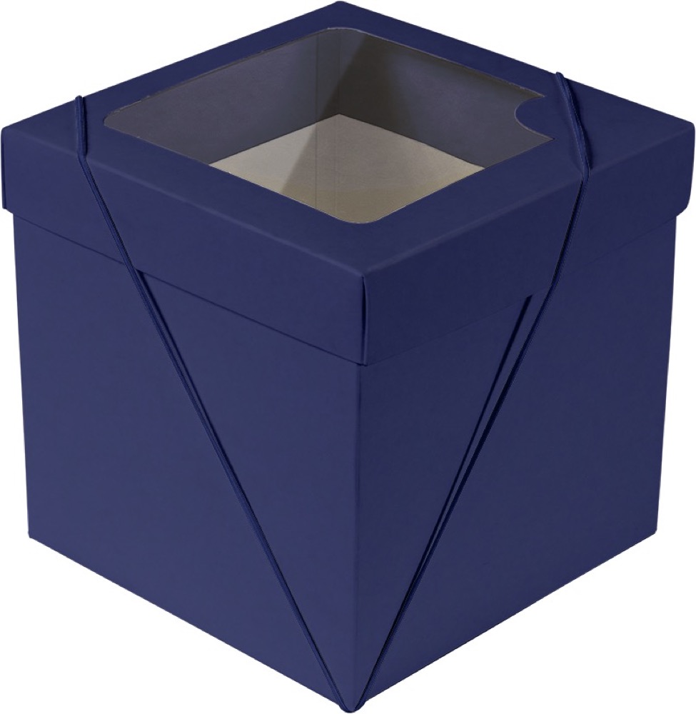 Caixa com visor – P Cubo – Azul
