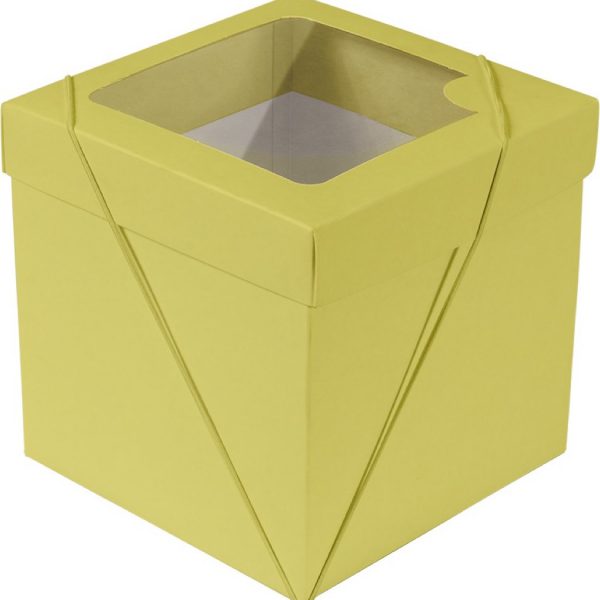 Caixa com visor – Amarelo