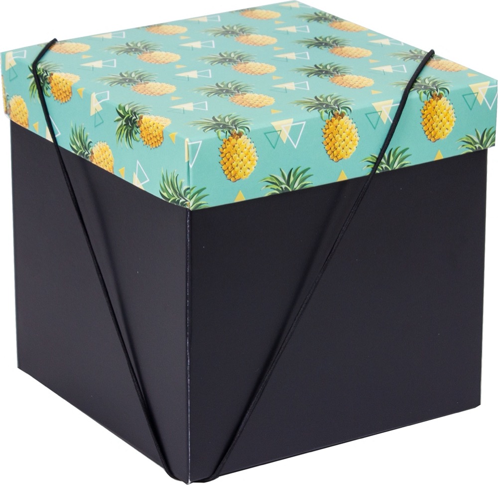 Caixa – Cubo – Tribo Abacaxi