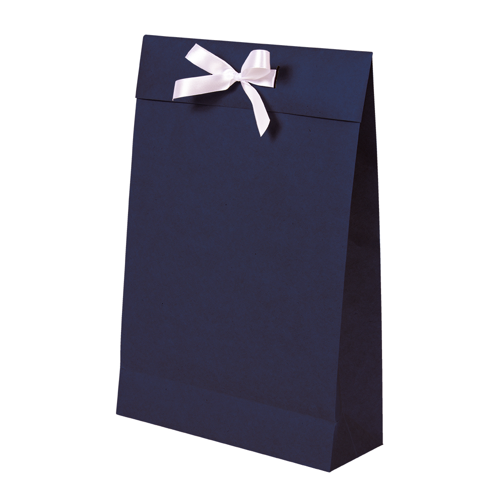 Premium Kraft – Kraft Azul – Sacola envelope com alça – M