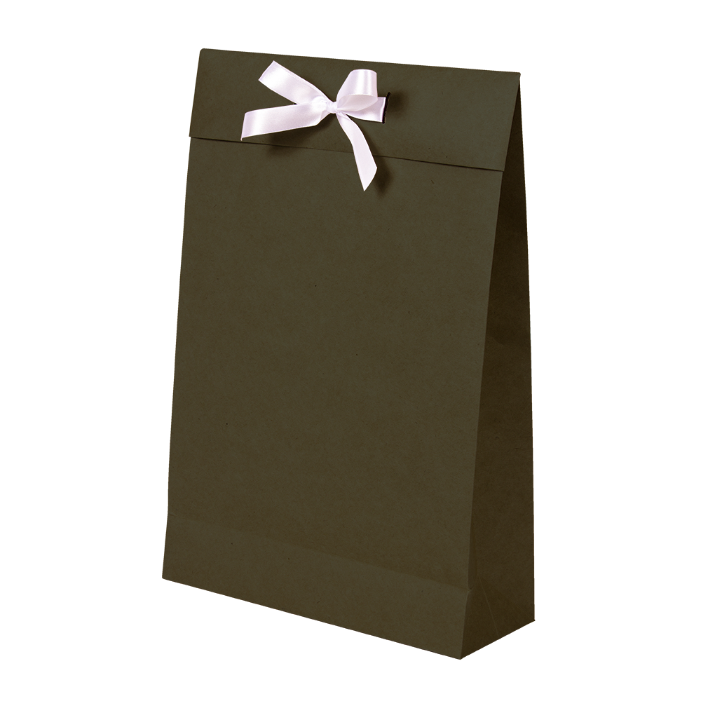 Premium Kraft – Kraft Verde – Sacola envelope com alça – M