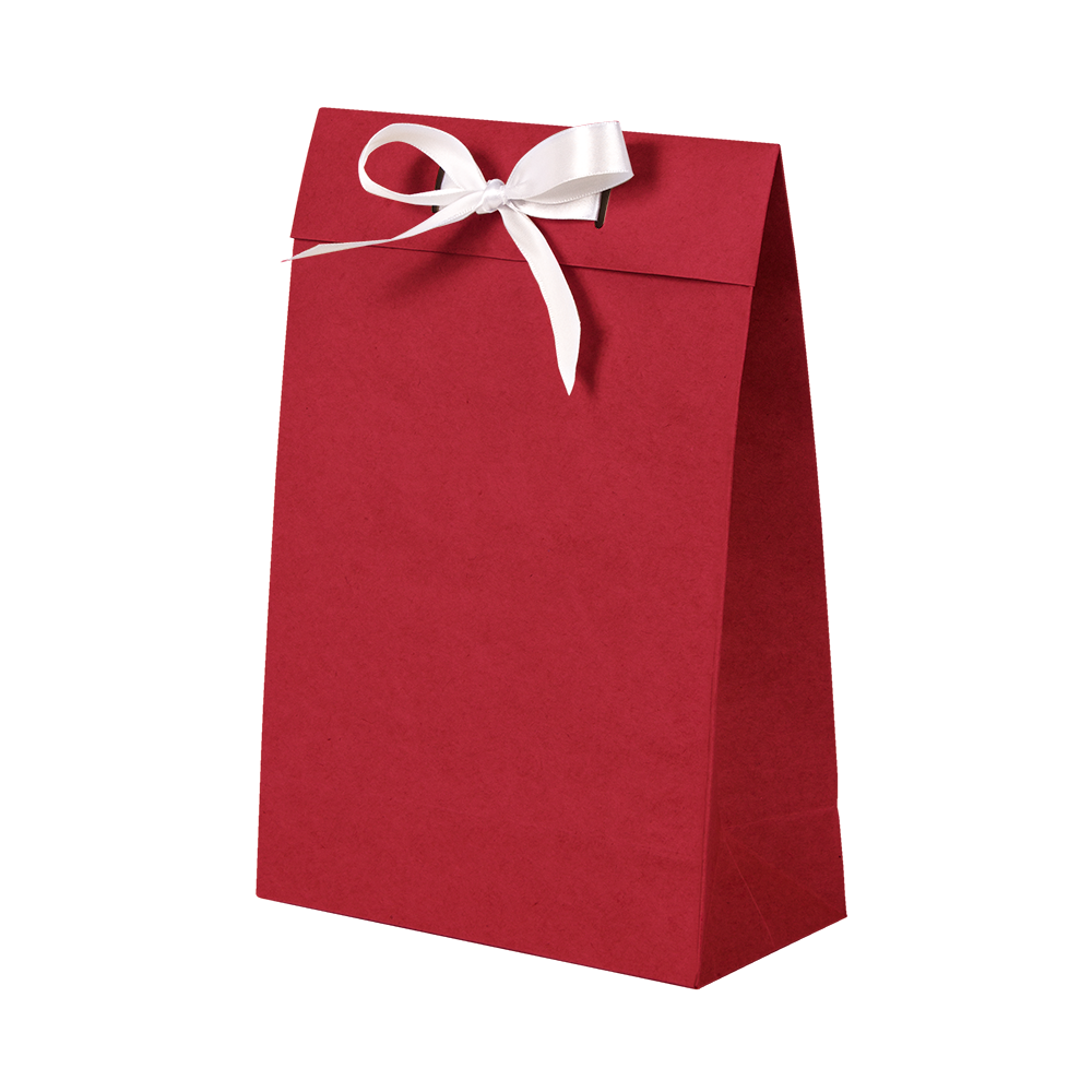 Premium Kraft – Kraft Vermelho – Sacola envelope com alça – P