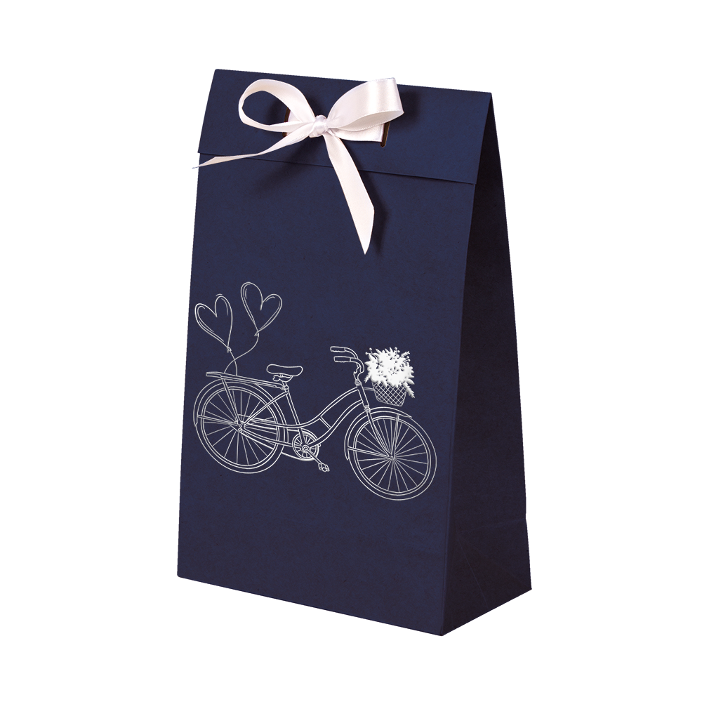Premium Kraft – Azul Bicicleta – Sacola envelope com alça – PP