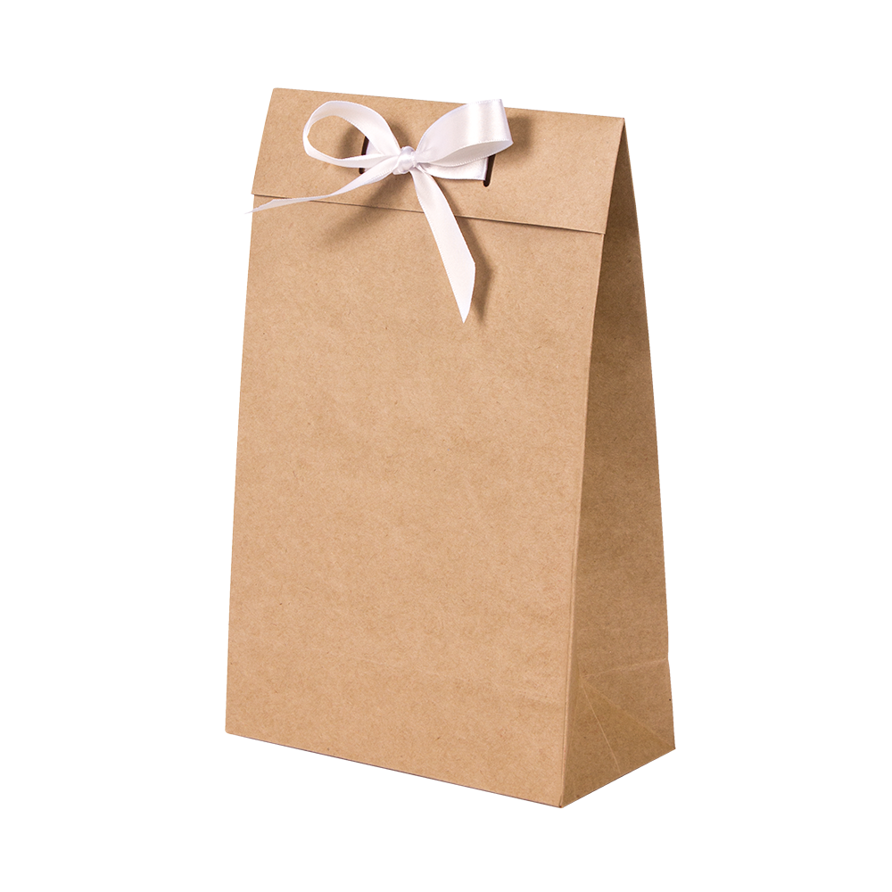 Premium Kraft – Kraft Natural – Sacola envelope com alça – PP