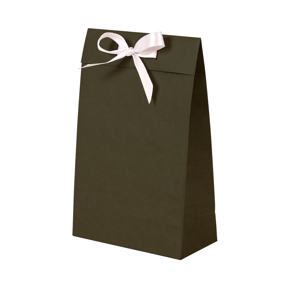Premium Kraft – Kraft Verde – Sacola envelope com alça – PP