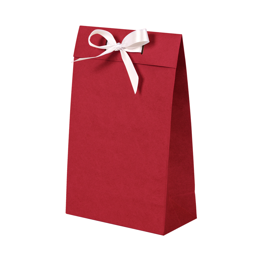 Premium Kraft – Kraft Vermelho – Sacola envelope com alça – PP